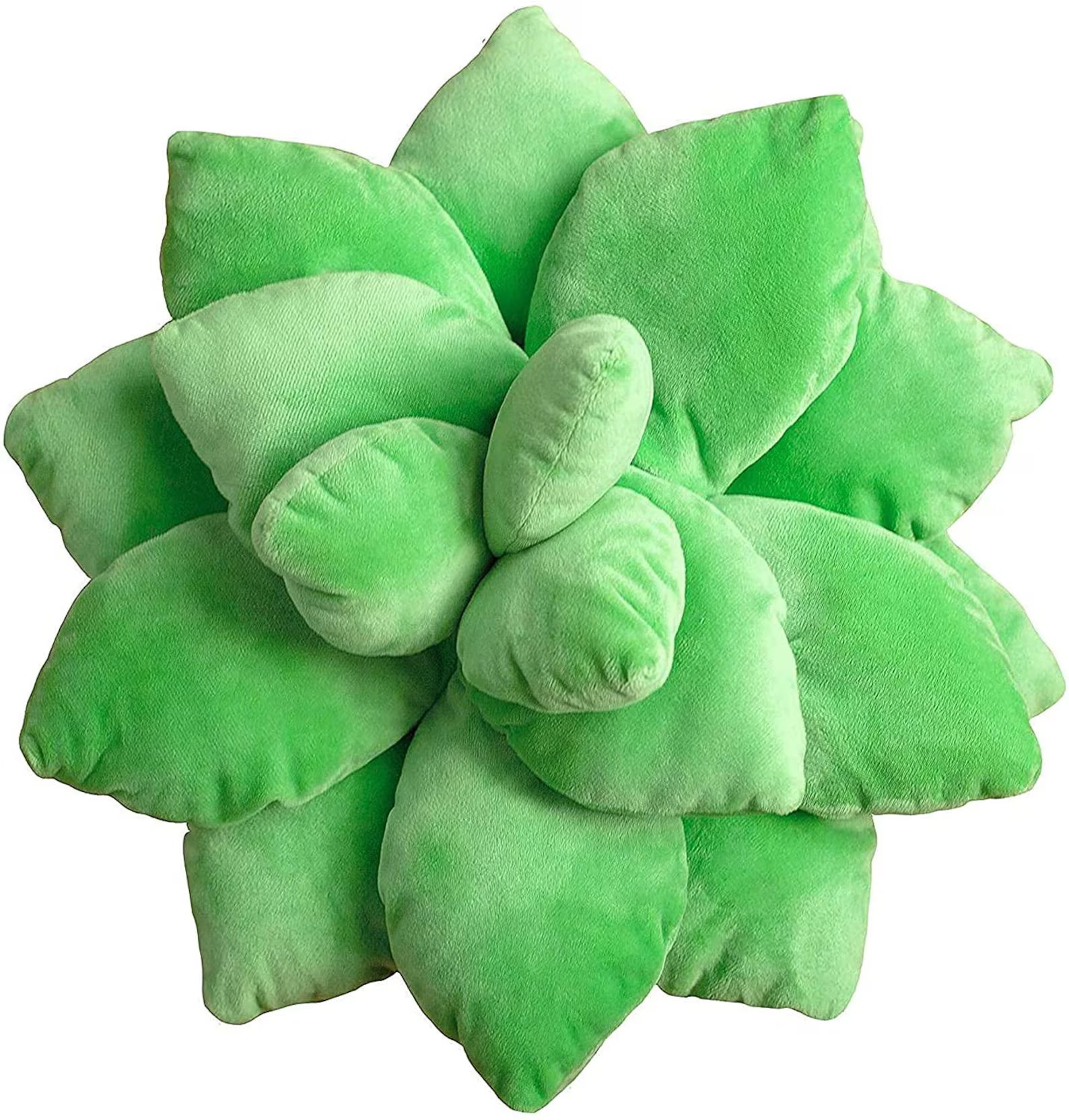 Velvet Succulent Throw Pillow